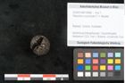 Foto (Objekt + Etikett) von Pleioclinis couchmani F.V. Mueller (NHMW-GEO-2024-0188-10468)